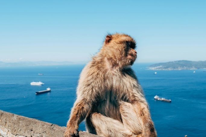 Gibraltar